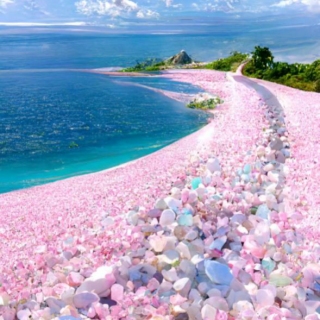 蓝色的大海 散落的粉红色玫瑰